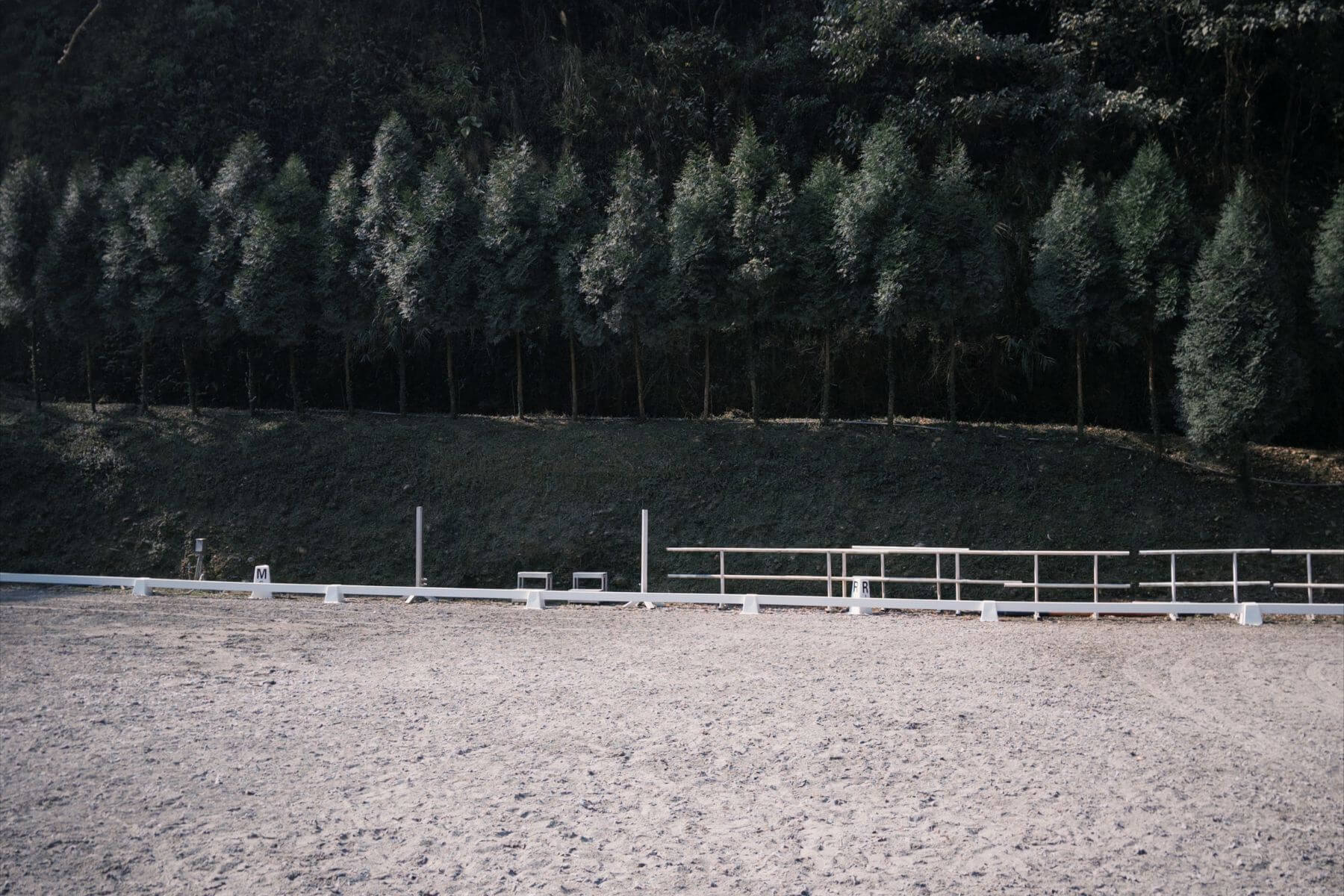 員林三春森林馬場的評論與圖片02