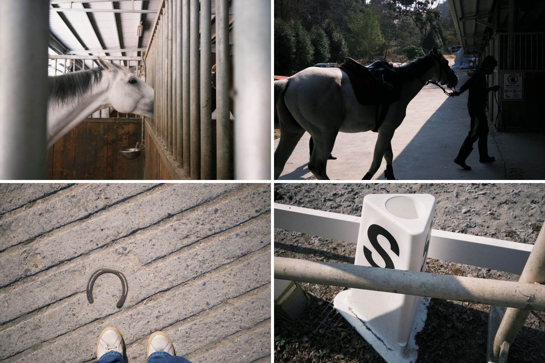 員林三春森林馬場的評論與圖片04