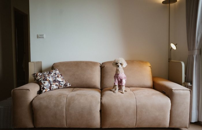 Pluffy sofa2.0 form mrliving_HUASAY01